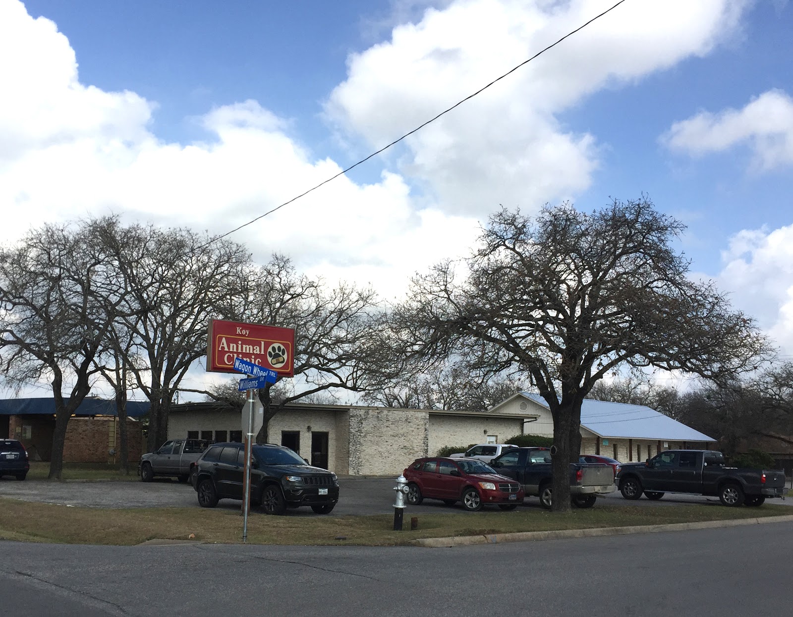 Koy Animal Clinic - Georgetown , United States