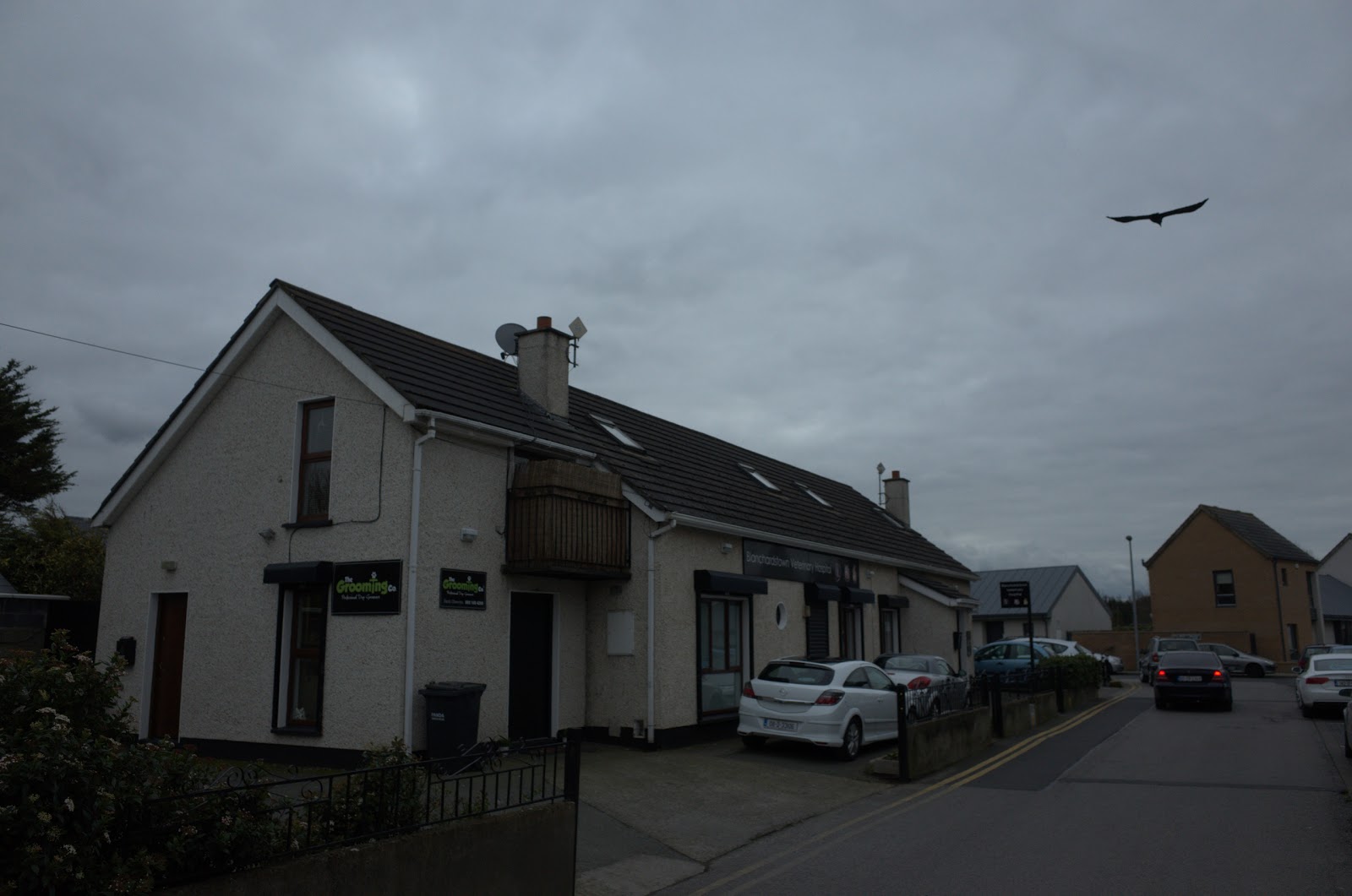 Anicare Vets Blanchardstown - Dublin 15 , Ireland
