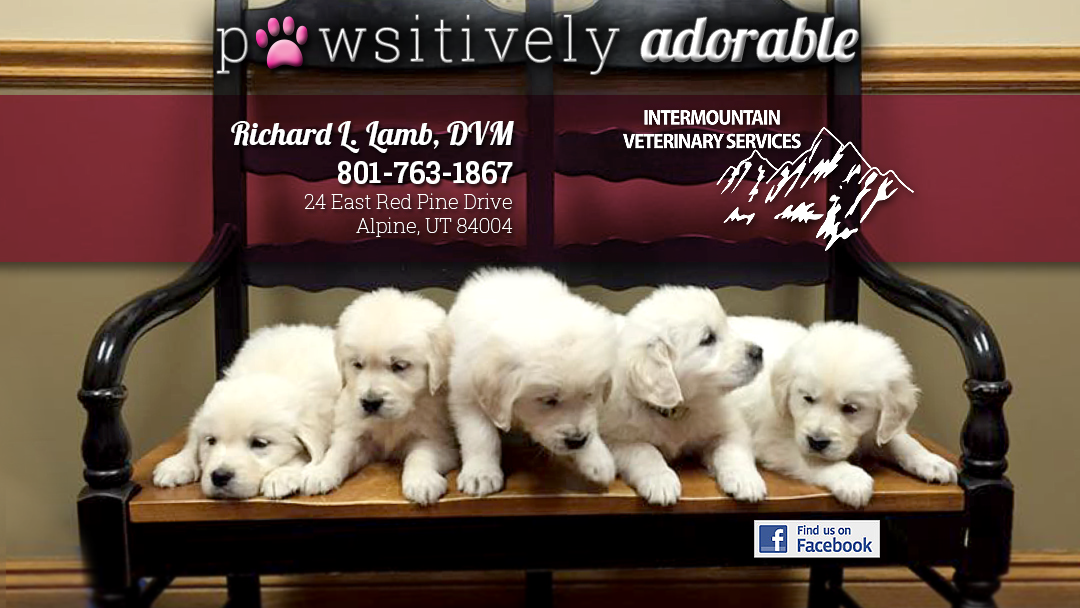 Intermountain Veterinary Services - Alpine , United States