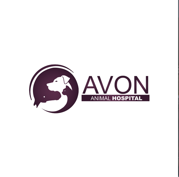 Avon Animal Hospital - Windsor , Canada