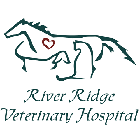 Arkvets - Avondale , United States