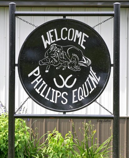 Phillips Equine Clinic PC - Fair Grove , United States