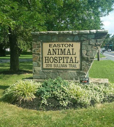 Easton Animal Hospital - Easton , United States