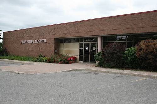 Vca Canada Blair Animal Hospital - Gloucester , Canada