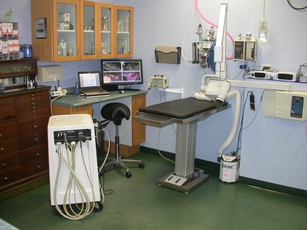 Hale Veterinary Clinic - Guelph , Canada