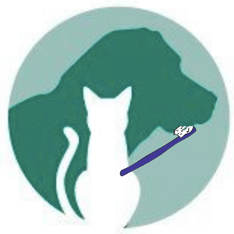 Avonvale Vets In Kenilworth - Kenilworth , United Kingdom