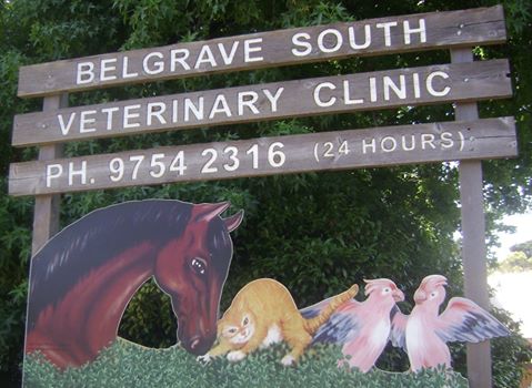 Bellbowrie Veterinary Surgery - Bellbowrie , Australia