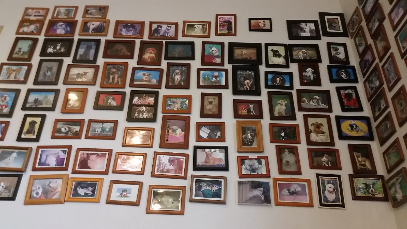 Cedar Park Animal Clinic - Cedar Park , United States