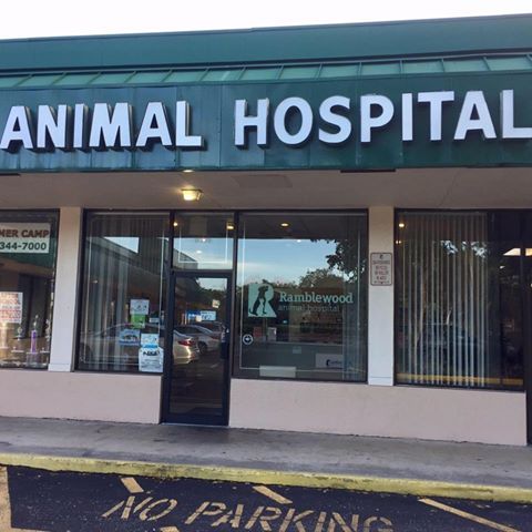 Ramblewood Animal Hospital - Coral Springs , United States