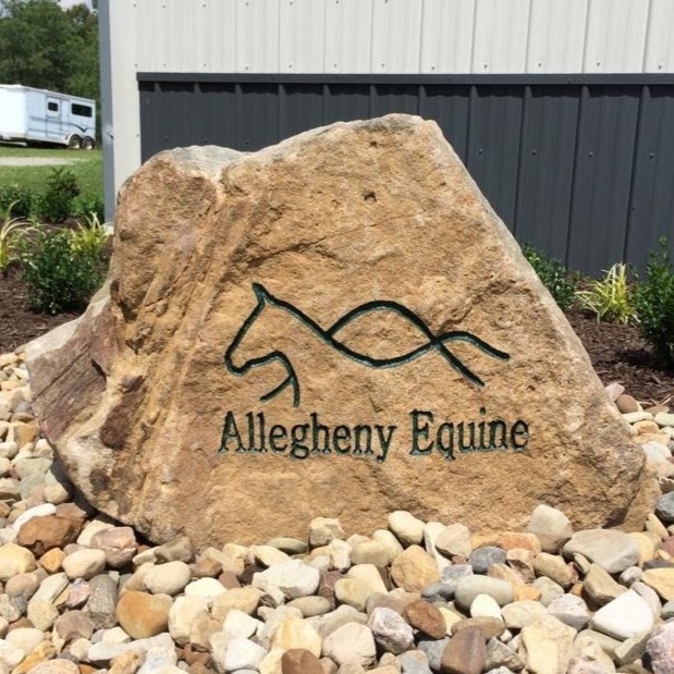 Allegheny Equine Associates - Murrysville , United States