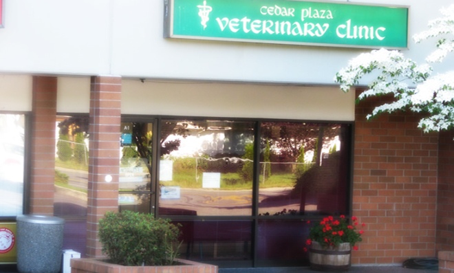 Cedar Plaza Veterinary Clinic - Mountlake Terrace , United States