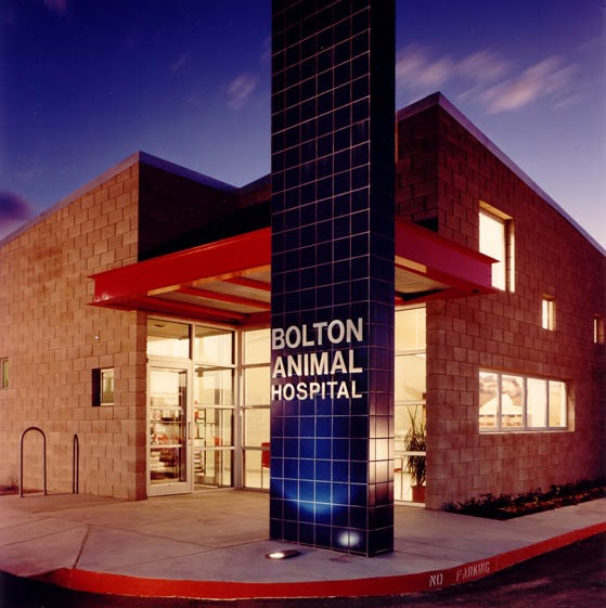 Bolton Animal Hospital - Albuquerque , United States