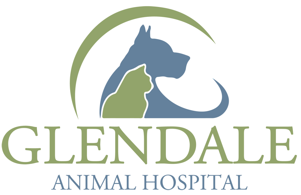 Glendale Animal Hospital - Glendale Heights , United States