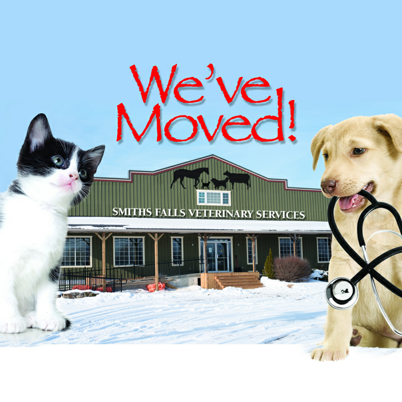 Smiths Falls Veterinary Services - Smiths Falls , Canada