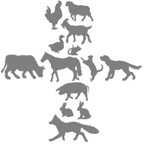 Arthur Lodge Vet Hospital - Horsham , United Kingdom