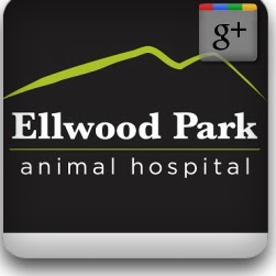 Ellwood Park Animal Hospital - Abbotsford , Canada