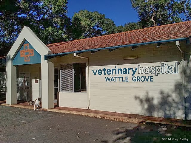 Wattle Grove Veterinary Hospital - Wattle Grove , Australia