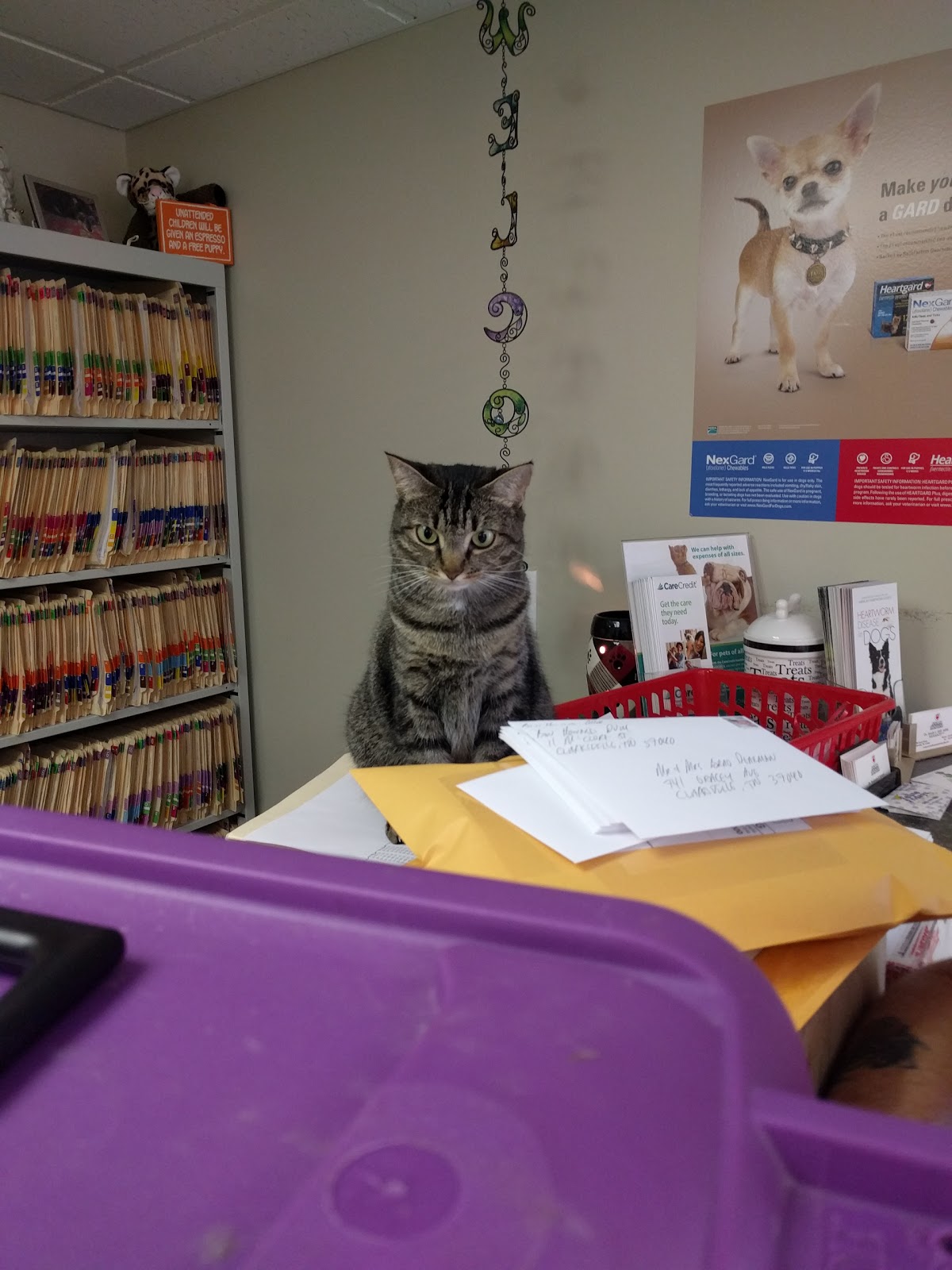 Animal Hospital - Clarksville , United States