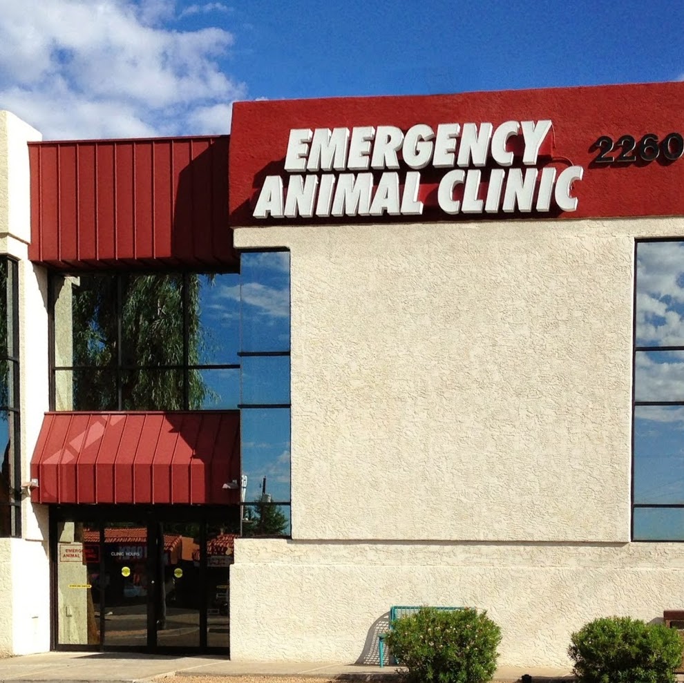 Bluepearl Pet Hospital - Phoenix , United States