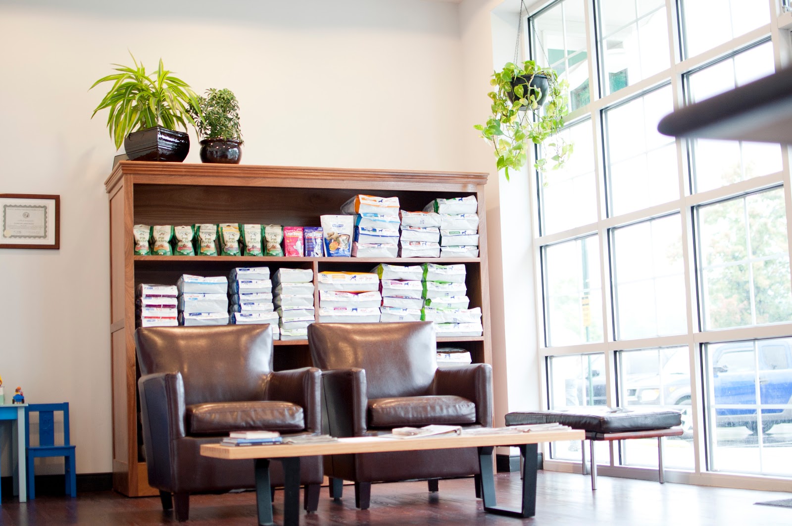 Carolina Pets Animal Hospital - Wesley Chapel , United States