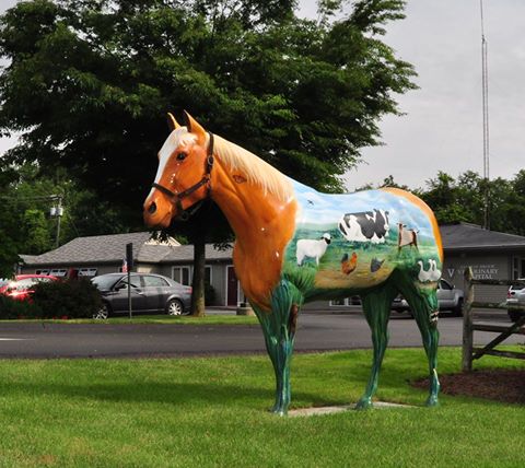 Salmon Brook Veterinary Hospital - Granby , United States