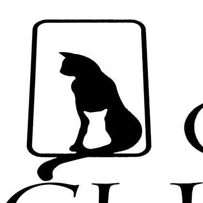 Cat Clinic: Sylvester - Honolulu , United States