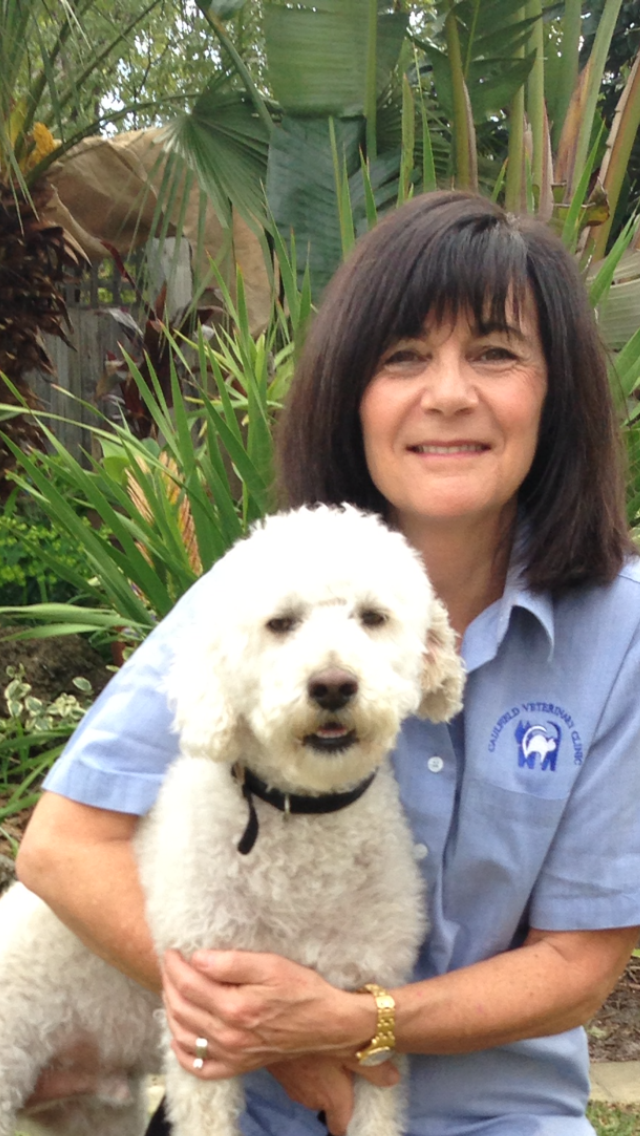 Caulfield Veterinary Hospital - Caulfield North , Australia
