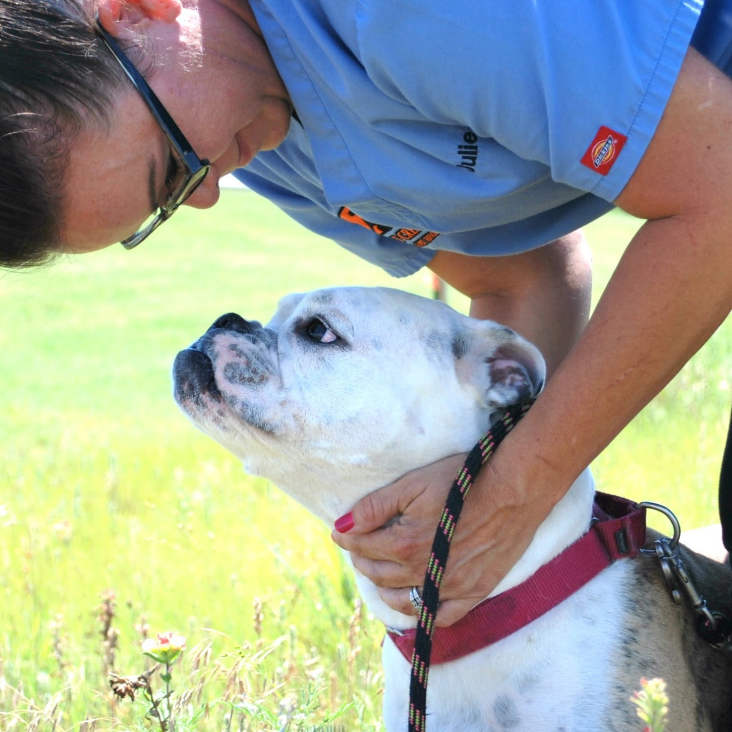 Walnut Creek Animal Hospital And Pet Resort - Purcell , United States