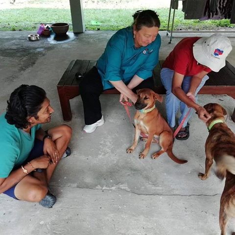 From The Heart Animal Behavior - Salinas , United States