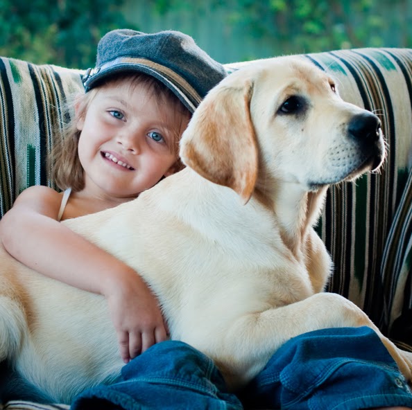 Mcdowall Veterinary Practice - McDowall , Australia