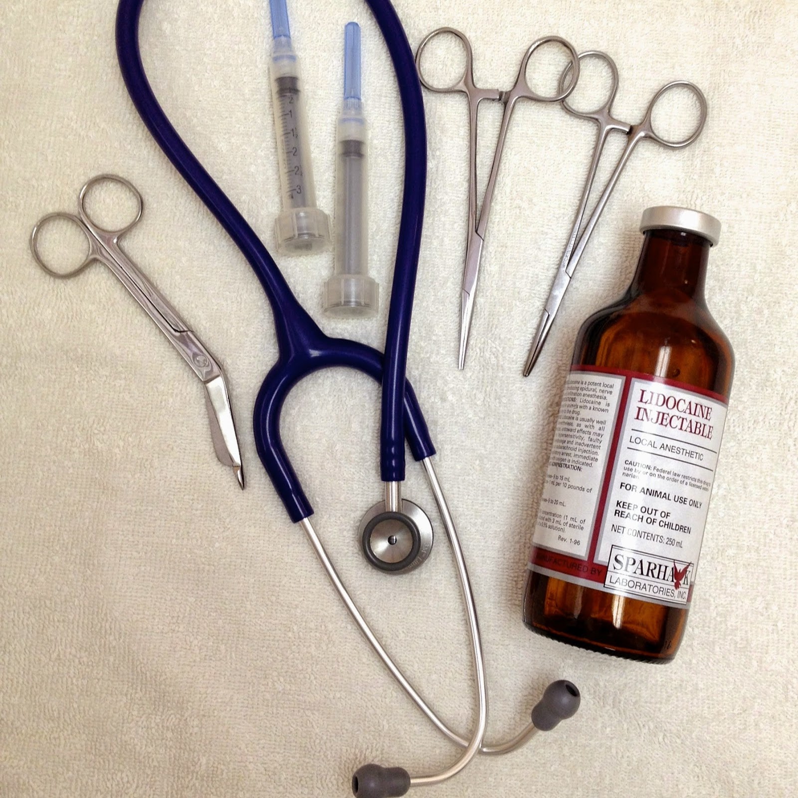 Clark Animal Hospital - Rahway , United States