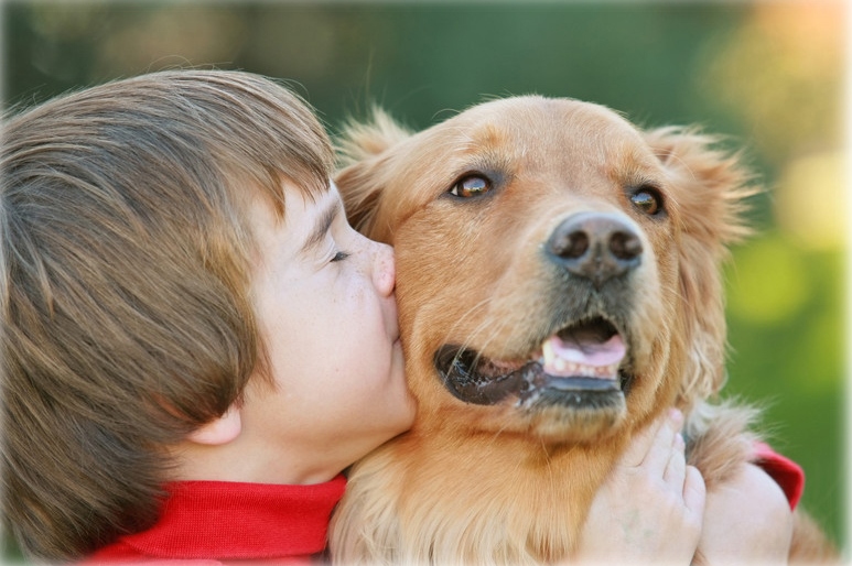 Mchenry Pet Hospital - McHenry , United States