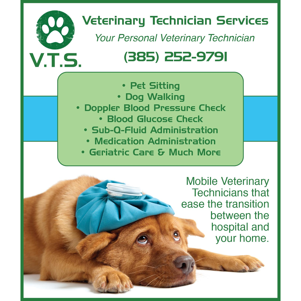 Veterinary Technician ServicesLLC - Sandy , Ethiopia
