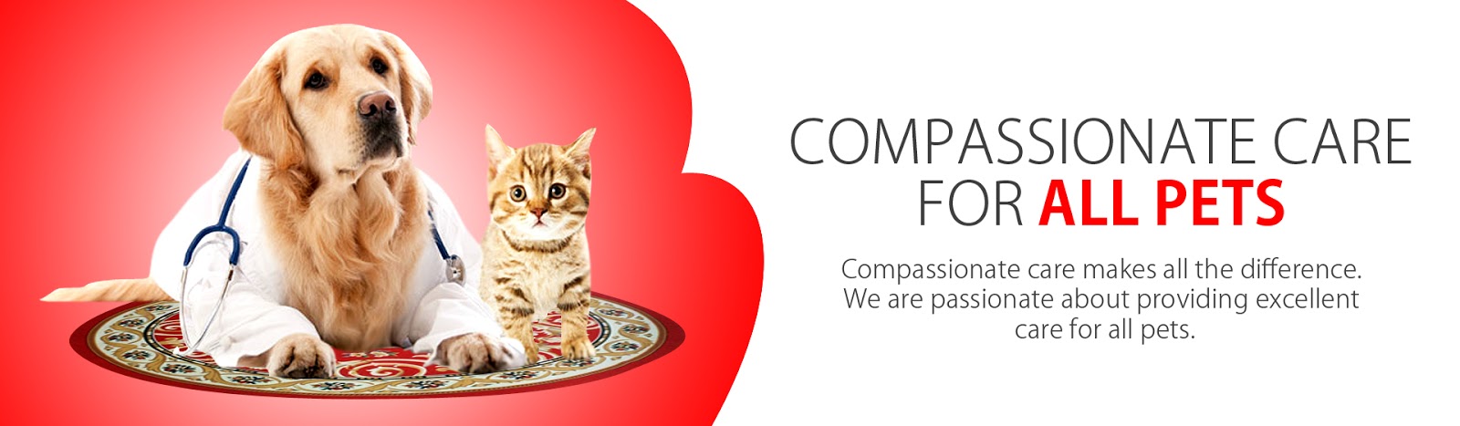 Glenn Mountain Animal Hospital - Abbotsford , Canada