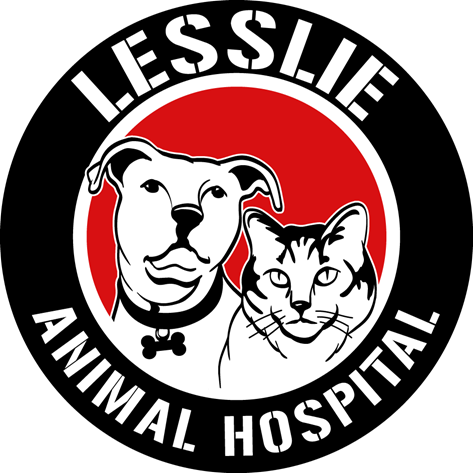 Lesslie Animal Hospital - Rock Hill , United States