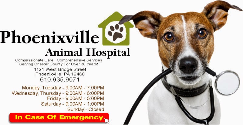 Phoenixville Animal Hospital - Phoenixville , United States
