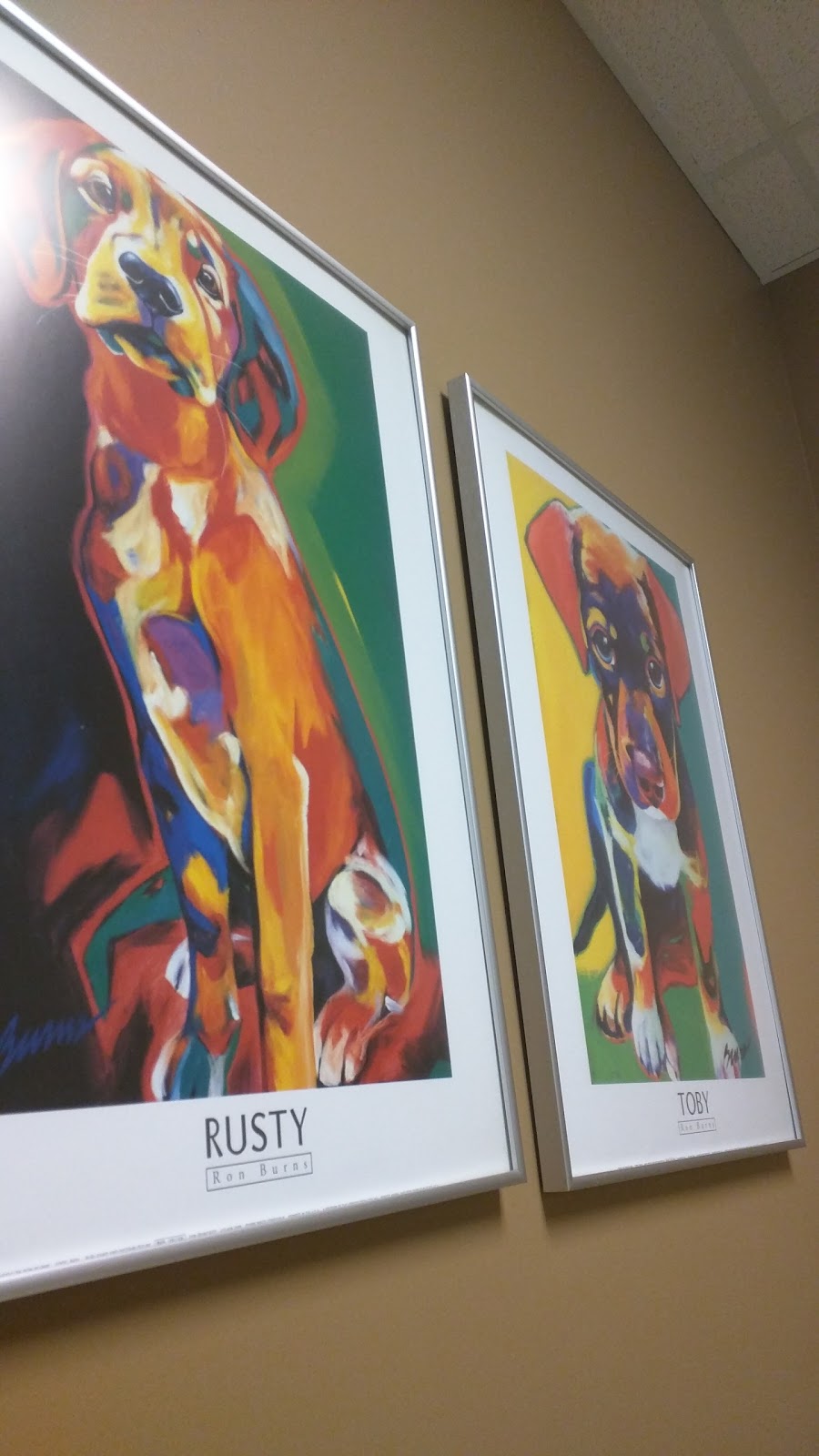 Best Friends Animal Hospital - Madison , United States