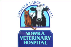 Nowra Veterinary Hospital - Nowra , Australia