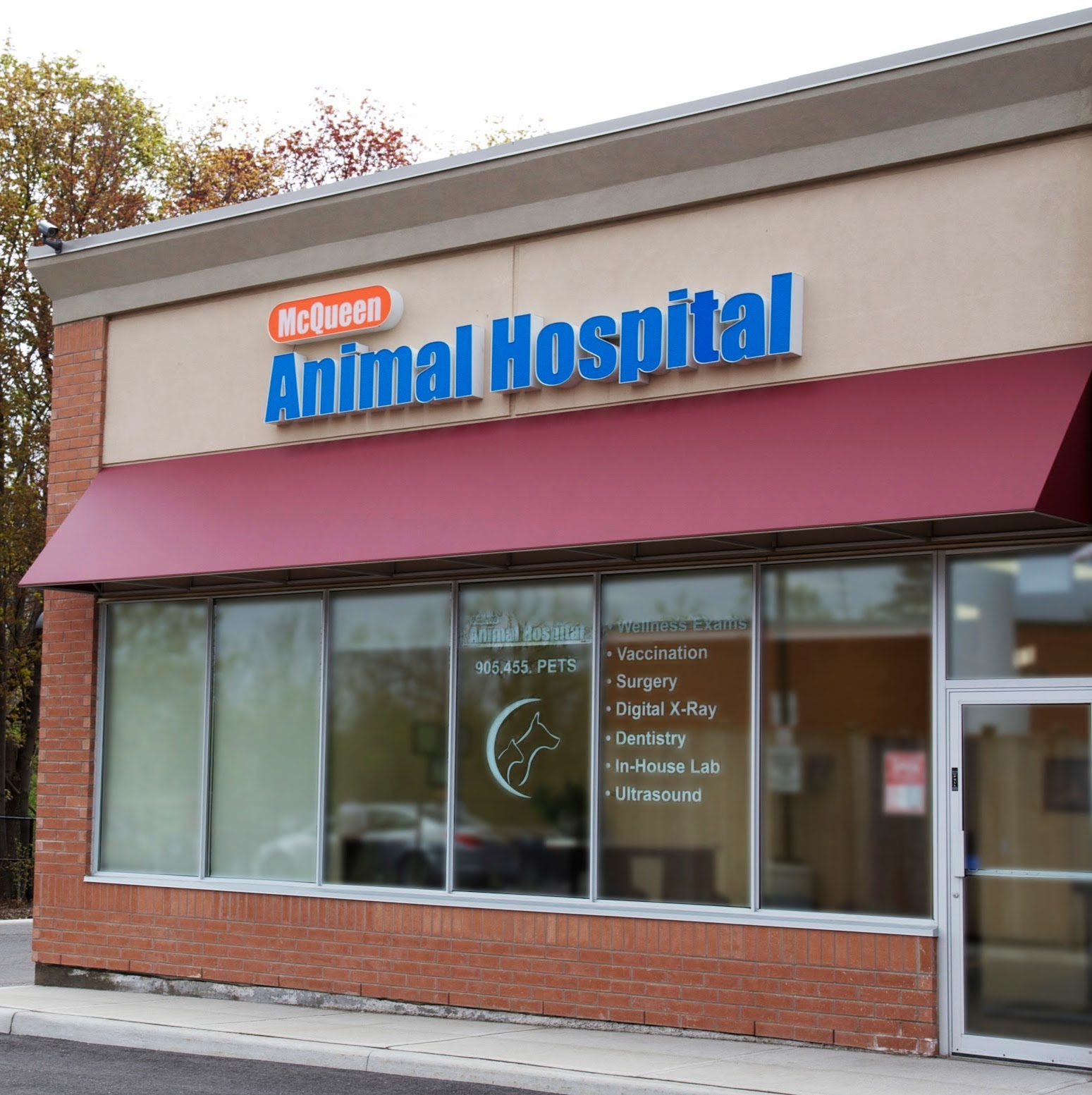 Mcqueen Animal Hospital - Brampton , Canada