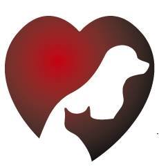 Frisco West Animal Medical Center - Frisco , United States