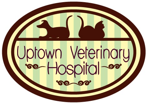 Uptown Veterinary Hospital - New Orleans , United States