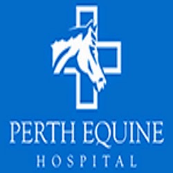 Perth Equine Hospital - Ascot , Australia