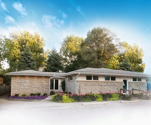 Ancaster Animal Hospital - Ancaster , Canada