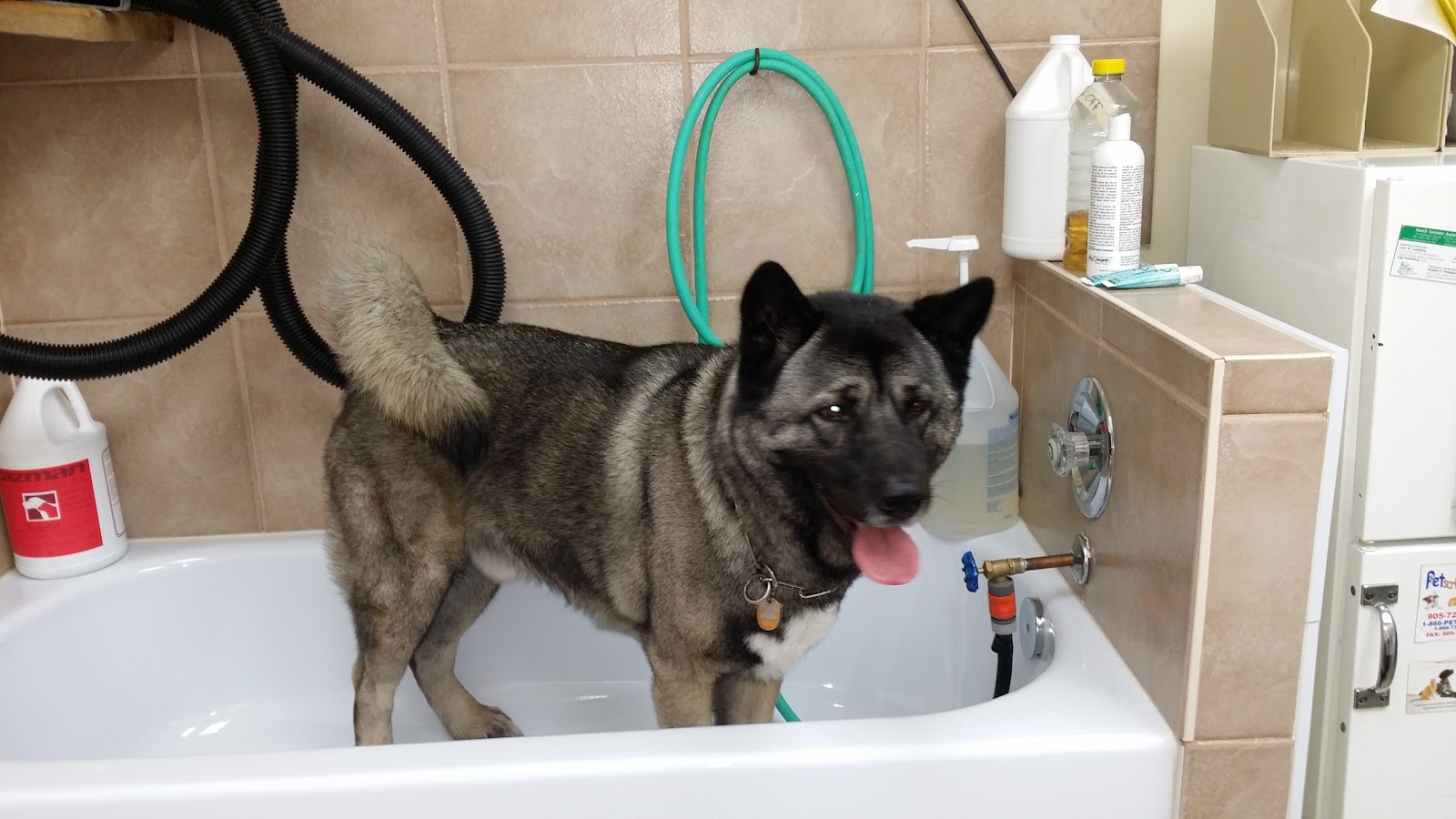 Mccleary Animal Hospital - Mississauga , Canada