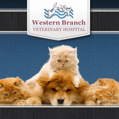 Western Branch Veterinary Hospital - Chesapeake , United States