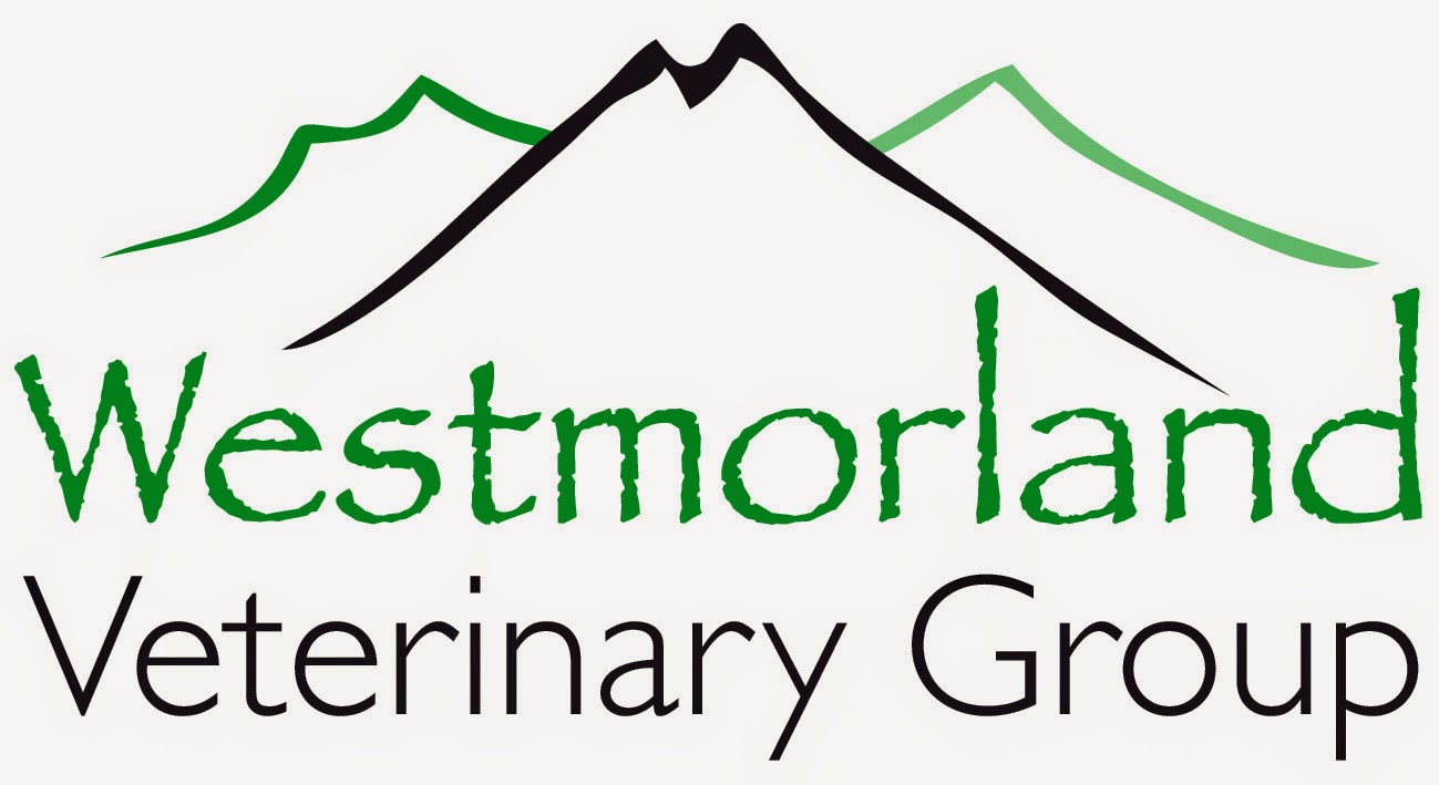 Westmorland Veterinary Group - Kendal , United Kingdom