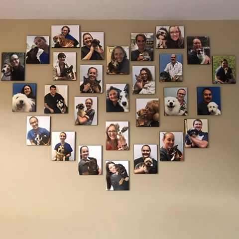 Vca Fairfield Animal Hospital - Lancaster , United States