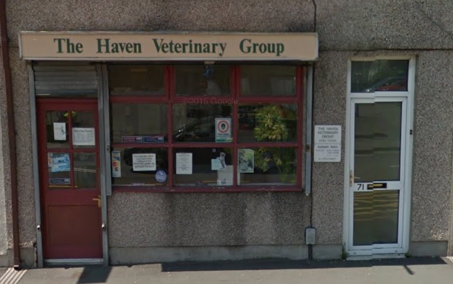 Haven Vets Ltd Morriston Swansea - Swansea , United Kingdom