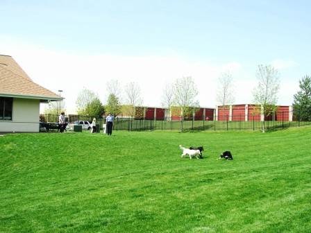 Companion Animal Hospital - Eagan , United States