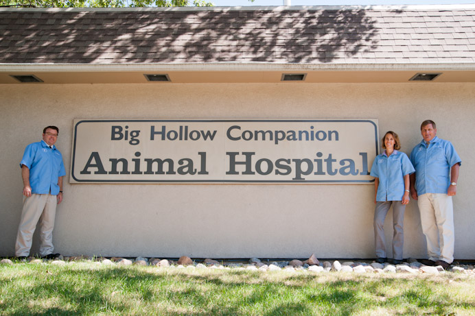 Big Hollow Companion Animal Hospital - Peoria , United States
